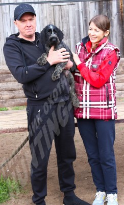 Новые владельцы