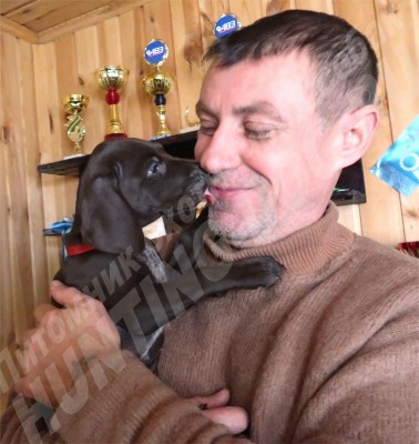 Новые владельцы