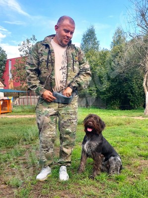 Новые владельцы