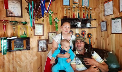 Новые владельцы