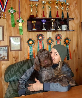 Новые владельцы