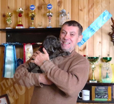 Новые владельцы