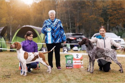 ОХОТЭСТЕТ АДЛЕР (ADLER)