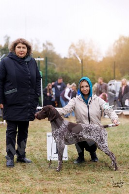 ОХОТЭСТЕТ АДЛЕР (ADLER)