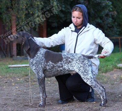 ОХОТЭСТЕТ АДЛЕР (ADLER)