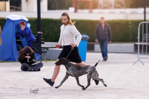 Ohotestet Aleit (Охотэстет Алеит)