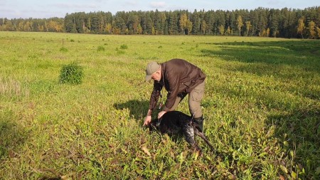 Следовая работа