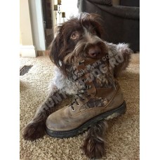 Коррекция поведения собаки