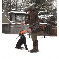 Курс апортировки