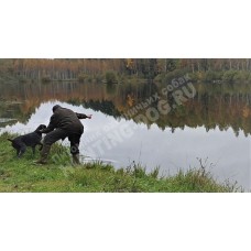 Подготовка к породным тестам